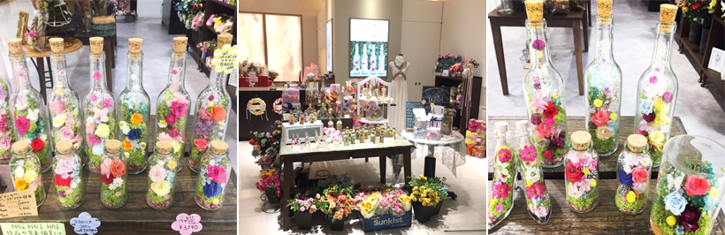 静岡パルコにてuqina出店中